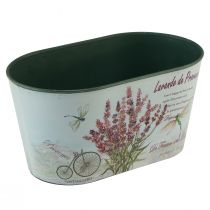 Artikel Blumenschale oval Lavendel Blumentopf Kunststoff 21,5×12,5cm H11cm