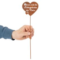 Artikel Blumenstecker Herz mit Spruch Rost Metall Gartendeko 10cm 6 St