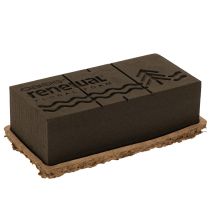 Artikel Blumensteckschaum 1/1 Ziegel OASIS® Renewal® Floral Foam Biolit® 24cm 2St