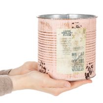 Artikel Blumentopf Deko Dose Lachs Metall Pflanzeimer Ø15,5cm H15cm