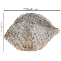 Artikel Blumentopf Muschel Stein Antik Grau Maritim 22×18×13cm
