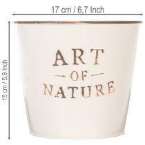 Artikel Blumentopf Zink Art of Nature Creme Ø17,5cm H15cm