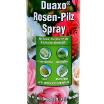 Artikel COMPO Duaxo® Rosen-Pilz Spray Fungizid 400ml