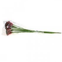 Artikel Calla Rot bordeaux Kunstblumen im Bund 57cm 12 St