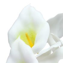 Artikel Calla am Draht klein Weiß 50 St