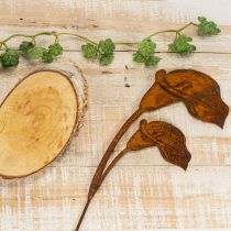 Artikel Gartenstecker Calla Blüte Rost für Grab und Floristik 25cm 6St