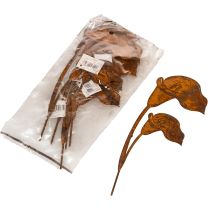 Artikel Gartenstecker Calla Blüte Rost für Grab und Floristik 25cm 6St