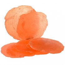 Capiz Muscheln Capizscheiben Perlmuttscheiben Orange 7,5–9,5cm 300g