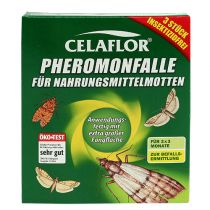 Floristik24 Celaflor Pheromonfalle für Nahrungsmittelmotten 3St