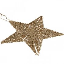 Artikel Christbaumschmuck, Adventsdeko, Stern-Anhänger Golden B20,5cm 6 St