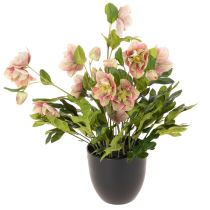 Artikel Helleborus künstlich Topfpflanze Christrose für Wohnraumdeko 50cm