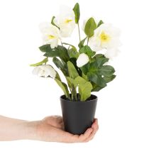 Artikel Christrose künstlich Topfblume Tischdeko 34cm