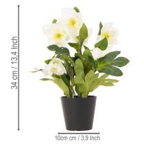 Artikel Christrose künstlich Topfblume Tischdeko 34cm