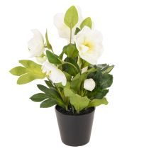 Artikel Christrose künstlich Topfblume Tischdeko 34cm