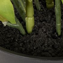 Artikel Christrose künstlich Topfblume Tischdeko 34cm