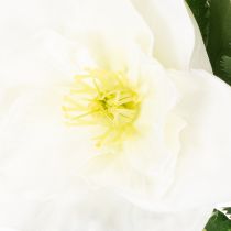 Artikel Kunstblume Christrose weiß Bund künstliche Weihnachtsdekoration