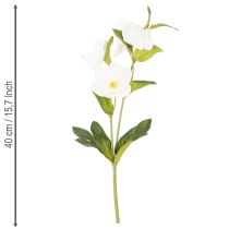 Artikel Christrose Künstliche Blume weiß Dekorativer Kunstblumen Bund mit 40cm 4St