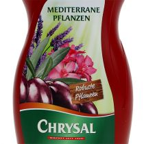 Chrysal mediterrane Pflanzen 500ml