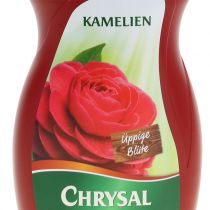 Artikel Chrysal Kameliendünger (500ml)