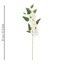 Artikel Künstlicher Clematis Zweig mit Blüten für elegante und pflegeleichte Dekoration 81cm 2St