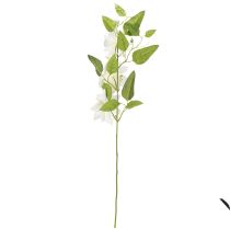 Artikel Künstlicher Clematis Zweig mit Blüten für elegante und pflegeleichte Dekoration 81cm 2St