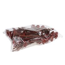 Artikel Compacta Rosette Erika 40 St