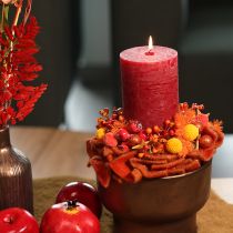 Artikel Craspedia Trockenblumen Strauß 55cm 20St