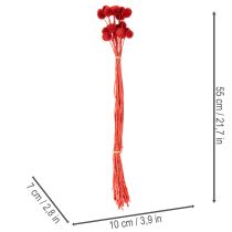 Artikel Trockenblumen Craspedia gefärbt mit langem Stiel 55cm 20St