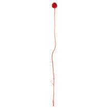 Artikel Trockenblumen Craspedia gefärbt mit langem Stiel 55cm 20St