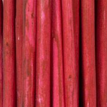 Artikel Curly Willow Getrockneter Deko Zweig für kreative Floristik und Wohnaccessoires 80cm 70g