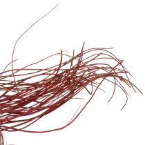 Artikel Curly Willow Getrockneter Deko Zweig für kreative Floristik und Wohnaccessoires 80cm 70g