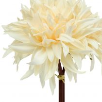 Artikel Künstliche Dahlie Creme 25,5cm 3St