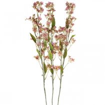 Dekozweig mit Blüten künstlich Rosa Daphne Zweig 110cm 3St