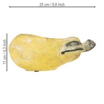 Artikel Deko Birne Übertopf Herbst Pflanztopf Beton 25×13×11cm
