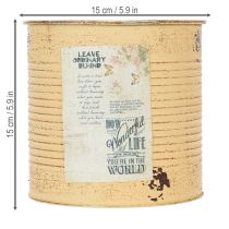 Artikel Deko Dose Apricot Pflanztopf Metall Sommerdeko Ø15,5cm H15cm