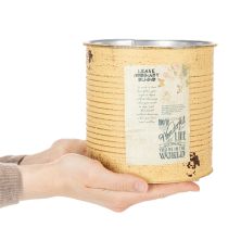 Artikel Deko Dose Apricot Pflanztopf Metall Sommerdeko Ø15,5cm H15cm