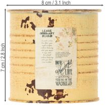Artikel Deko Dose Sommer Apricot Metalldose Pflanztopf Ø8cm H7,5cm