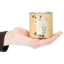 Artikel Deko Dose Sommer Apricot Metalldose Pflanztopf Ø8cm H7,5cm