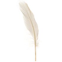 Artikel Deko Federn Echte Vogelfedern Champagner 20g