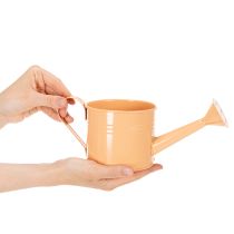 Artikel Deko Gießkanne Set in Pastell Lachs, Grün, Gelbgrün - Metall Übertopf Ø11cm H10cm 8 Stück