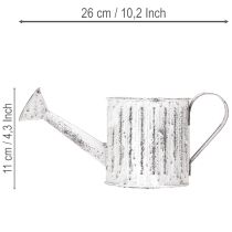 Artikel Deko-Kanne, Pflanzgefäß, Gießkanne zum Bepflanzen Ø10,5cm