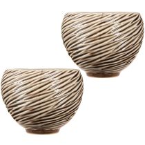 Artikel Deko Schale Blumentopf Keramik Beige Braun Ø15cm 2St