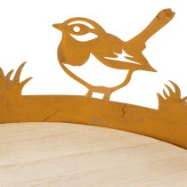Artikel Deko-Tablett, Tischschmuck mit Vögeln, Frühlingsdeko Edelrost Ø20cm H8,5cm