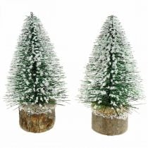 Weihnachtliche Dekoration, Deko-Tannenbaum, Mini-Tanne Grün beschneit H15cm Ø9,5cm 6St