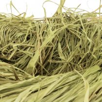 Artikel Deko Bast zum Basteln Naturbast Raffiabast Limette 200g