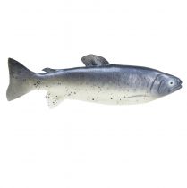Artikel Deko Fisch Lebensmittelattrappe Fisch künstlich 31cm