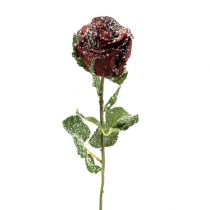 Deko Rose rot beschneit Ø6cm 6St