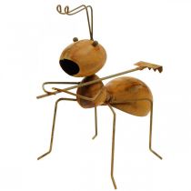 Ameisen aus Metall mit Rostfinish 2er-Set 