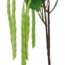 Artikel Dekozweig Bohnen Ast Kunstpflanze Grün 68cm