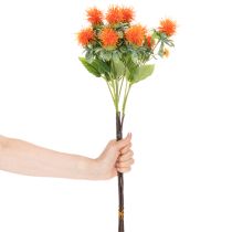 Artikel Künstliche Färberdistel orange als Kunstblume für Vasen und Dekoration 55cm 4St